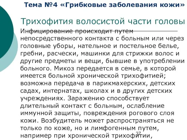 Тема №4 «Грибковые заболевания кожи» Трихофития волосистой части головы Инфицирование происходит