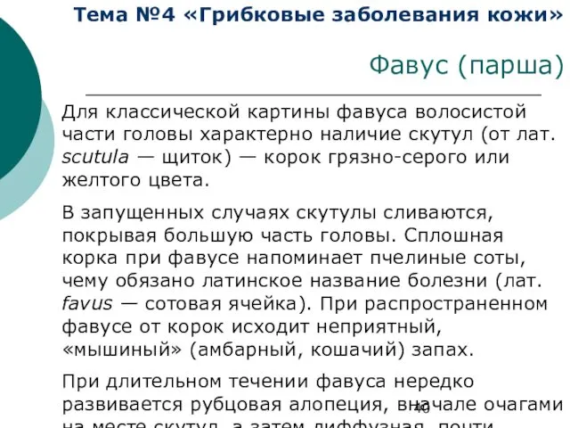 Тема №4 «Грибковые заболевания кожи» Фавус (парша) Для классической картины фавуса