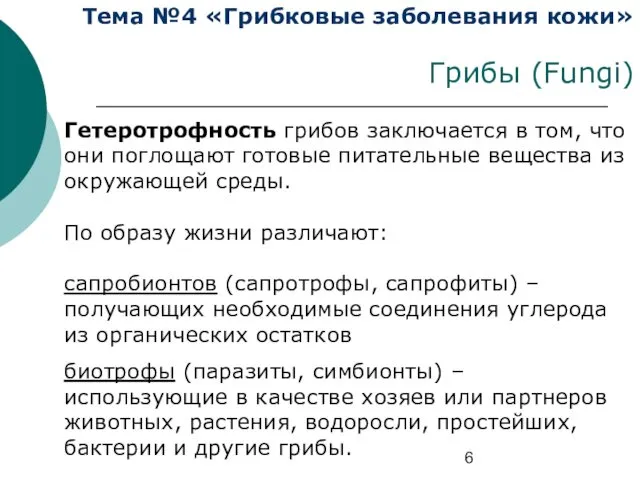 Тема №4 «Грибковые заболевания кожи» Грибы (Fungi) Гетеротрофность грибов заключается в