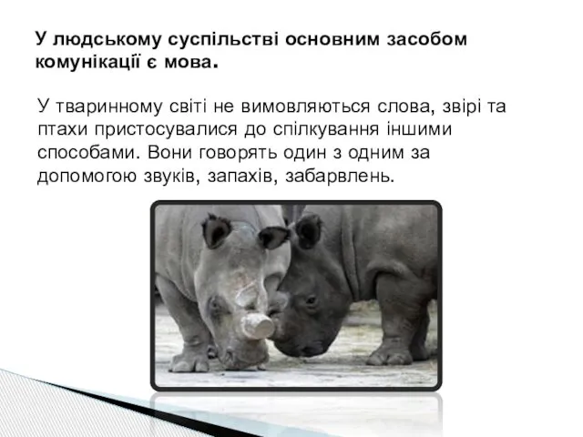 У людському суспільстві основним засобом комунікації є мова. У тваринному світі