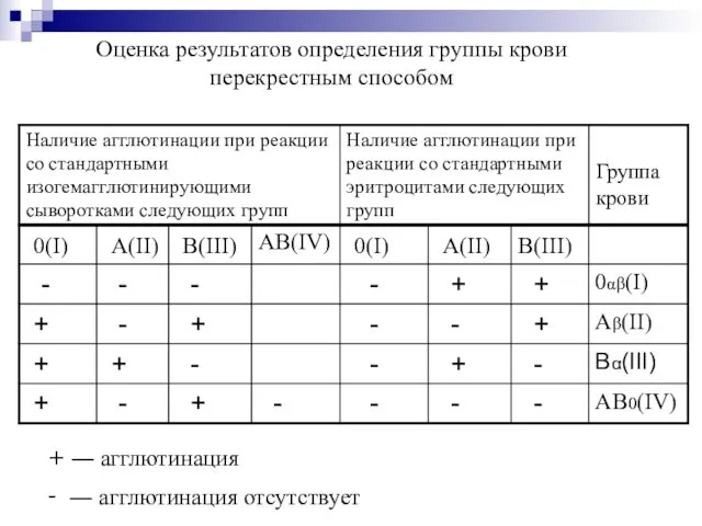 + ― агглютинация - ― агглютинация отсутствует Оценка результатов определения группы крови перекрестным способом