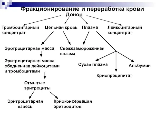 Донор Тромбоцитарный концентрат Цельная кровь Плазма Лейкоцитарный концентрат Эротроцитарная масса Свежезамороженная