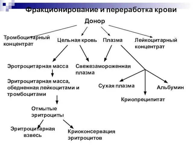 Донор Тромбоцитарный концентрат Цельная кровь Плазма Лейкоцитарный концентрат Эротроцитарная масса Свежезамороженная