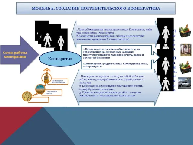 МОДЕЛЬ 2. СОЗДАНИЕ ПОТРЕБИТЕЛЬСКОГО КООПЕРАТИВА Схема работы кооператива Кооператив 1.Птица передается