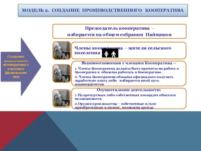 МОДЕЛЬ 2. СОЗДАНИЕ ПРОИЗВОДСТВЕННОГО КООПЕРАТИВА Создание производственного кооператива с участием физических лиц