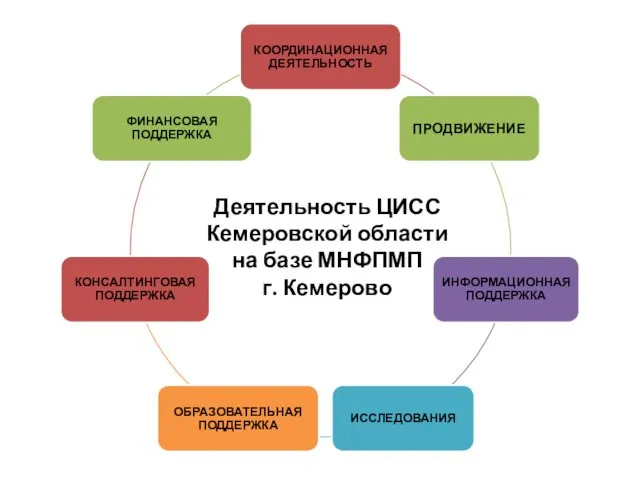 Деятельность ЦИСС Кемеровской области на базе МНФПМП г. Кемерово