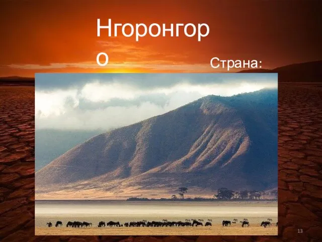 Нгоронгоро Страна: Танзания