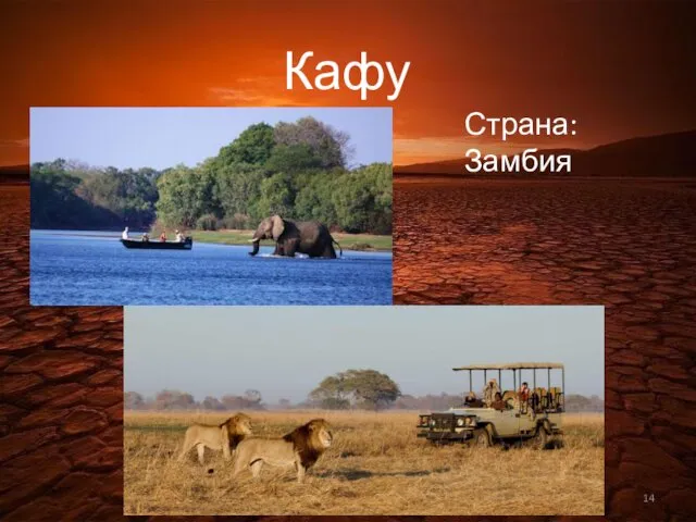 Кафуэ Страна: Замбия