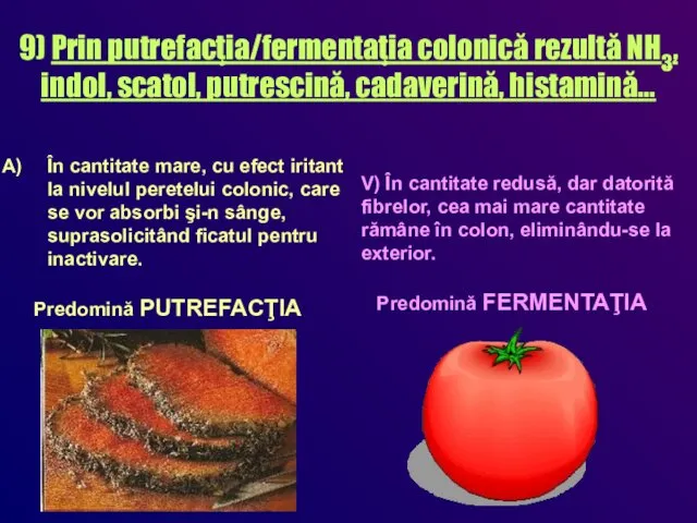 9) Prin putrefacţia/fermentaţia colonică rezultă NH3, indol, scatol, putrescină, cadaverină, histamină...