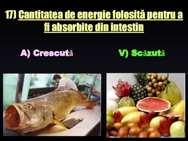 17) Cantitatea de energie folosită pentru a fi absorbite din intestin A) Crescută V) Scăzută