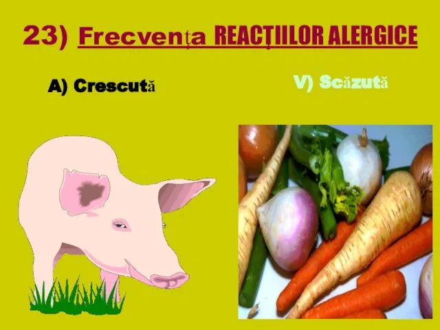 23) Frecvenţa REACŢIILOR ALERGICE A) Crescută V) Scăzută