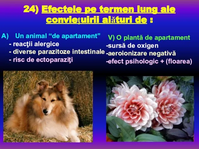 24) Efectele pe termen lung ale convieţuirii alături de : Un