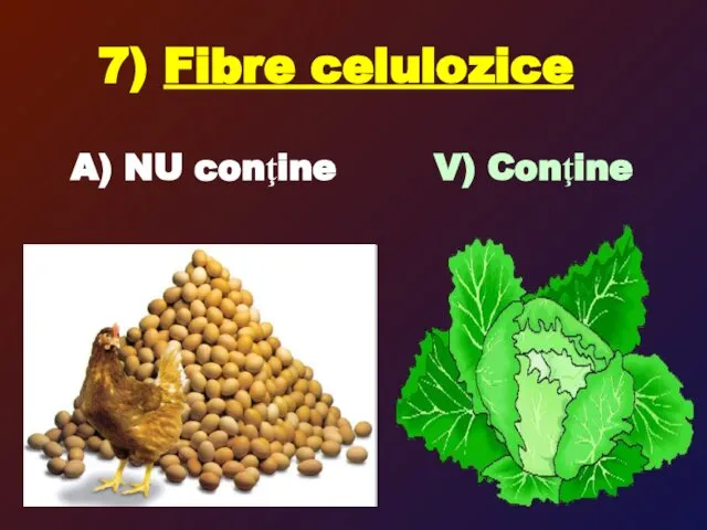 7) Fibre celulozice A) NU conţine V) Conţine