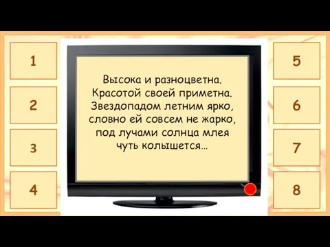 КОСМЕЯ Высока и разноцветна. Красотой своей приметна. Звездопадом летним ярко, словно