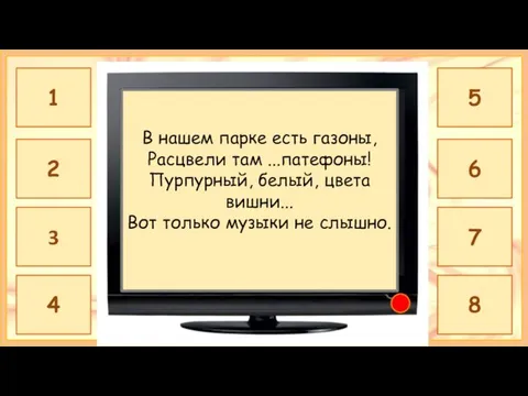 ПЕТУНИЯ В нашем парке есть газоны, Расцвели там ...патефоны! Пурпурный, белый,