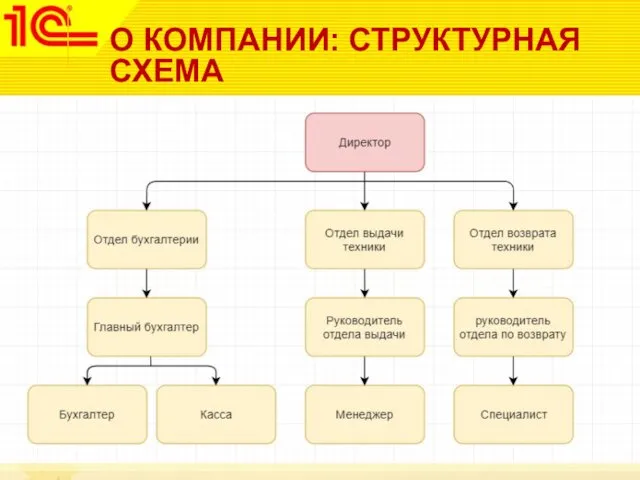 О КОМПАНИИ: СТРУКТУРНАЯ СХЕМА