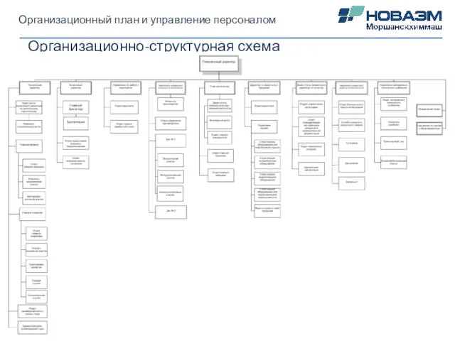 Организационный план и управление персоналом Организационно-структурная схема управления .