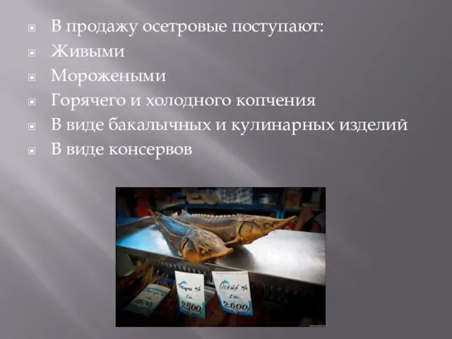 В продажу осетровые поступают: Живыми Морожеными Горячего и холодного копчения В