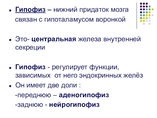 Гипофиз – нижний придаток мозга связан с гипоталамусом воронкой Это- центральная