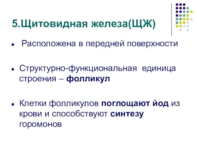 5.Щитовидная железа(ЩЖ) Расположена в передней поверхности Структурно-функциональная единица строения – фолликул