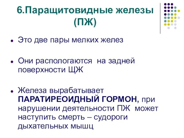 6.Паращитовидные железы(ПЖ) Это две пары мелких желез Они распологаются на задней