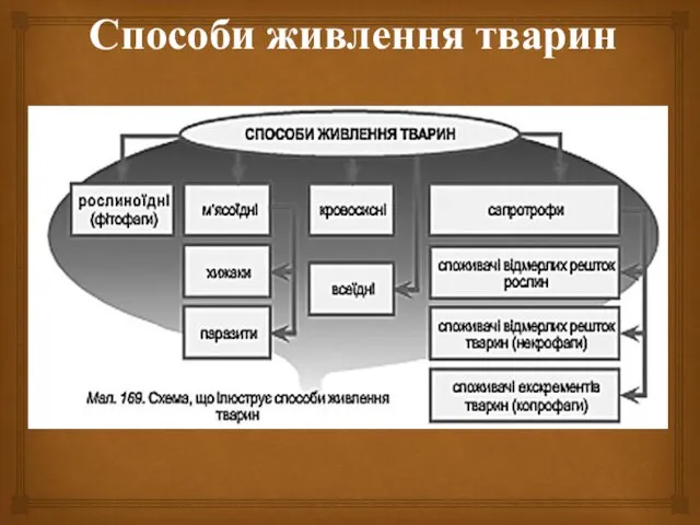 Способи живлення тварин