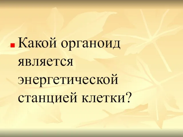 Какой органоид является энергетической станцией клетки?