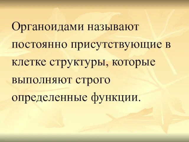 Органоидами называют постоянно присутствующие в клетке структуры, которые выполняют строго определенные функции.