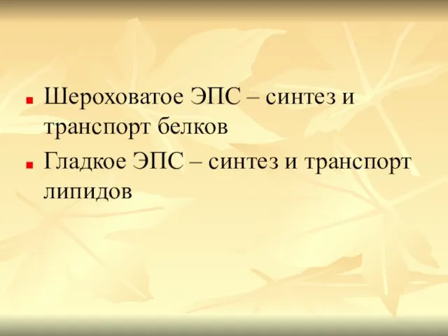 Шероховатое ЭПС – синтез и транспорт белков Гладкое ЭПС – синтез и транспорт липидов