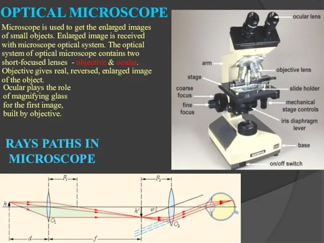 OPTICAL MICROSCOPE Microscope is used to get the enlarged images of