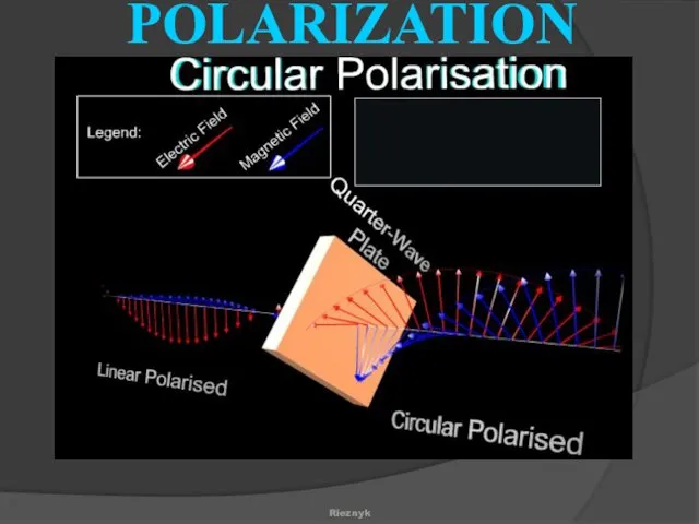 Rieznyk POLARIZATION