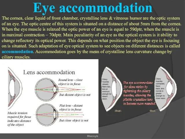 The cornea, clear liquid of front chamber, crystalline lens & vitreous