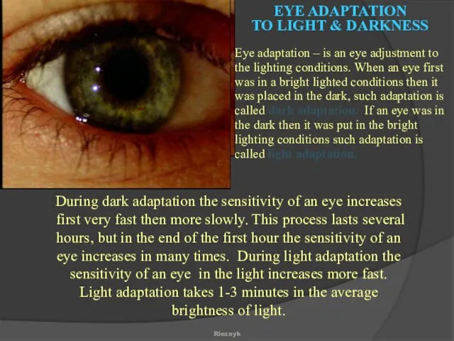 EYE ADAPTATION TO LIGHT & DARKNESS Eye adaptation – is an