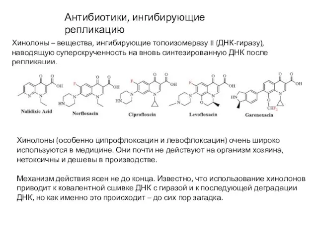 Антибиотики, ингибирующие репликацию Хинолоны – вещества, ингибирующие топоизомеразу II (ДНК-гиразу), наводящую
