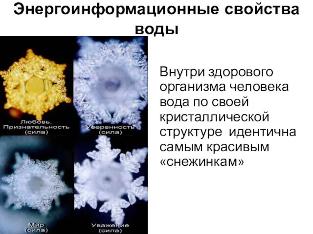 Энергоинформационные свойства воды Внутри здорового организма человека вода по своей кристаллической структуре идентична самым красивым «снежинкам»