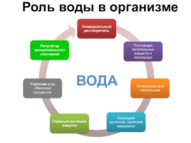 Роль воды в организме ВОДА