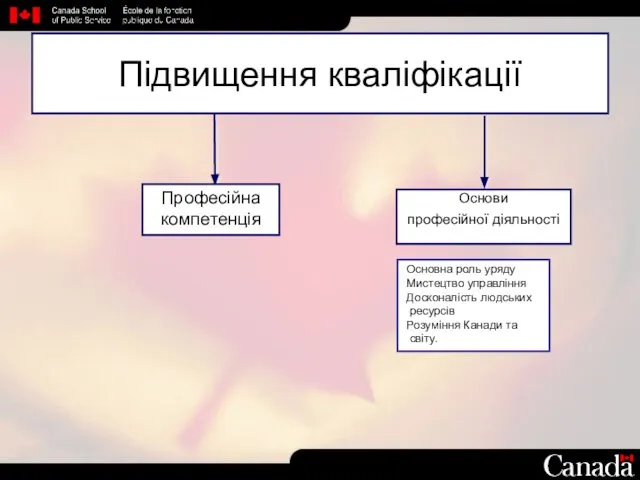 Професійна компетенція Основна роль уряду Мистецтво управління Досконалість людських ресурсів Розуміння