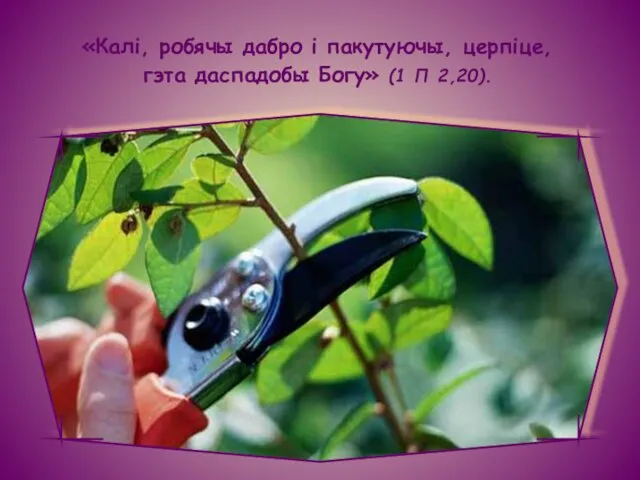 «Калі, робячы дабро і пакутуючы, церпіце, гэта даспадобы Богу» (1 П 2,20).