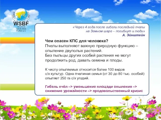 «Через 4 года после гибели последней пчелы на Земном шаре –