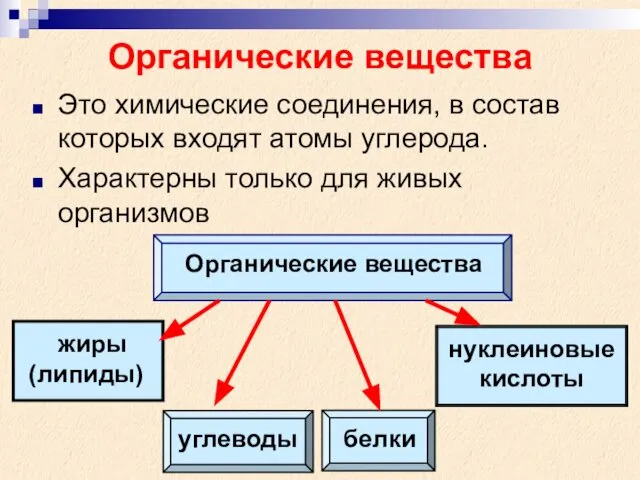 Органические вещества Это химические соединения, в состав которых входят атомы углерода.