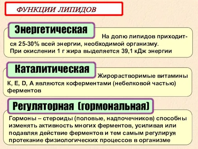 Энергетическая ФУНКЦИИ ЛИПИДОВ На долю липидов приходит-ся 25-30% всей энергии, необходимой