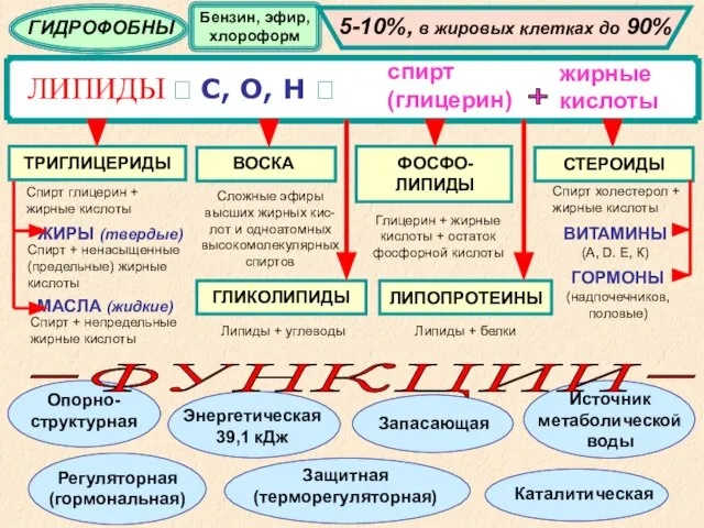 ЛИПИДЫ ? С, О, Н ? спирт (глицерин) жирные кислоты +