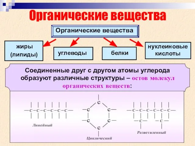 Органические вещества Органические вещества жиры белки углеводы (липиды) нуклеиновые кислоты Соединенные