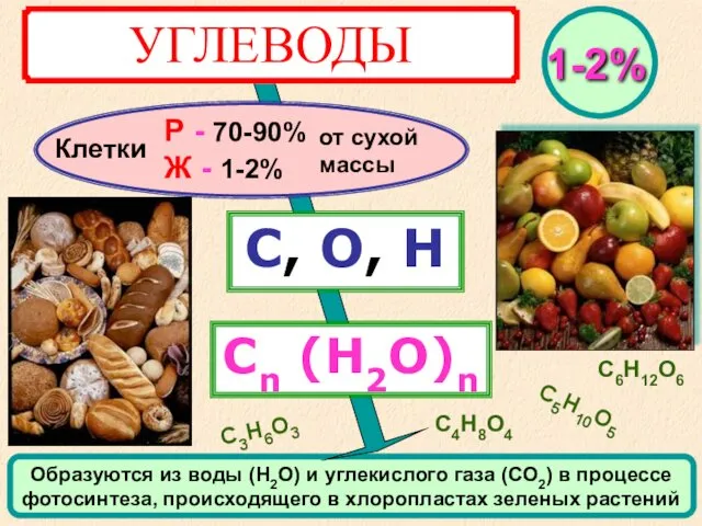 УГЛЕВОДЫ Клетки С, О, Н Сn (Н2О)n Р - 70-90% Ж