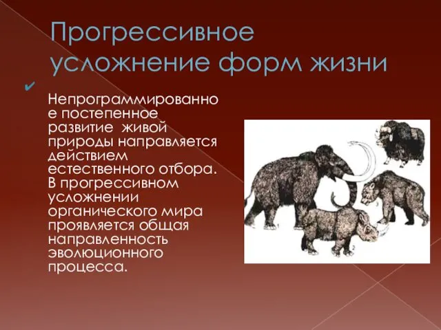 Прогрессивное усложнение форм жизни Непрограммированное постепенное развитие живой природы направляется действием