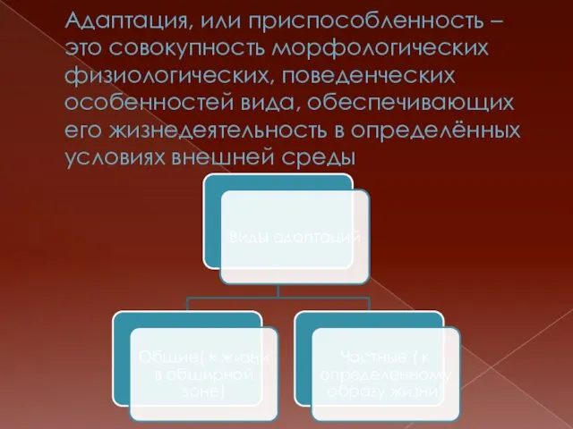 Адаптация, или приспособленность – это совокупность морфологических физиологических, поведенческих особенностей вида,