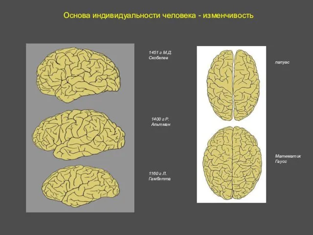 Основа индивидуальности человека - изменчивость 1451 г М.Д.Скобелев 1400 г Р.Альтман