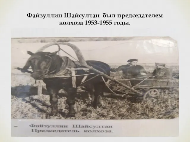 Файзуллин Шайсултан был председателем колхоза 1953-1955 годы.