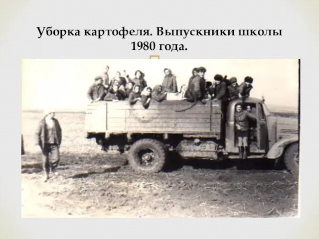 Уборка картофеля. Выпускники школы 1980 года.