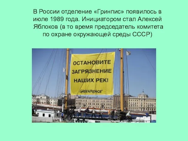 В России отделение «Гринпис» появилось в июле 1989 года. Инициатором стал